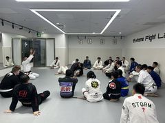 -EFL巴西柔术·综合格斗·泰拳·少儿体能训练(虹桥德必馆)