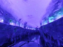 景点-天河潭旅游度假区