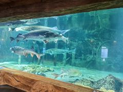 -华夏文旅海洋公园