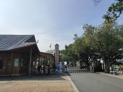-大湾区中央湿地公园