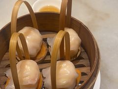 -金鼎轩(方庄天坛店)