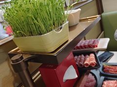 -海底捞火锅(振华商厦店)