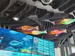 -西雅图水族馆