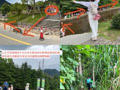 -马峦山郊野公园