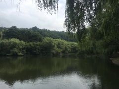-天下玉苑
