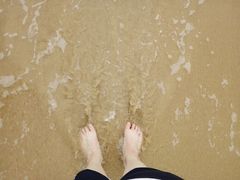 -西涌国际滨海旅游区