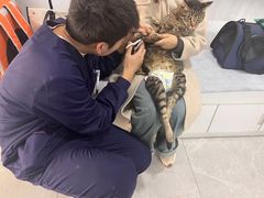 -中农国际动物医院24小时·猫科·骨科·急重症中心