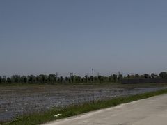 -嘉北郊野公园