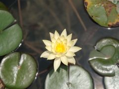 -成飞公园