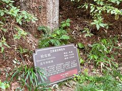 -南山风景名胜区