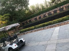 -帐篷客·溪龙茶谷度假酒店