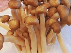 -大熊猫毛肚火锅(烟台万象汇店)