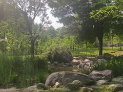-郑州植物园