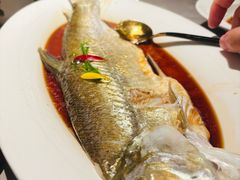 -醉庐·新上海菜(南京西路店)