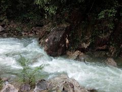 -九龙江国家森林公园