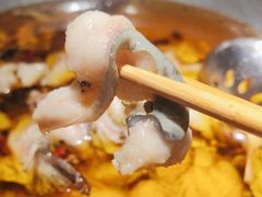 -雲蜀龙阁·金牌水煮鱼(方庄店)