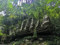 -梭布垭石林景区