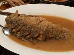 -阿庄新豫菜(航海东路店)