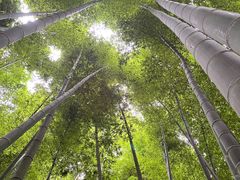 -苏州太湖湖滨国家湿地公园
