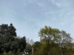 -红梅公园