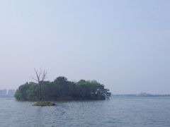 -南湖国家城市湿地公园