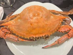 飞蟹-浩运海鲜·16年专注青岛菜(石老人店)