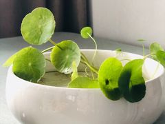 -东北饺子王(港澳广场购物中心店)