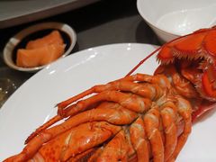 龙虾-神洲四海大酒楼(王府井澳门中心店)