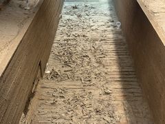 -秦始皇帝陵博物院-丽山园