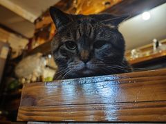 -云端咖啡私房店(河松街店)