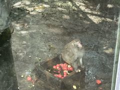 -水绘园