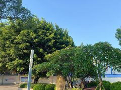 -西堤公园