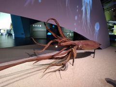 -贝林大翅鲸简餐厅(国家海洋博物馆店)