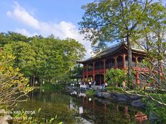 -顺峰山公园