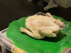 -汤城·料青山