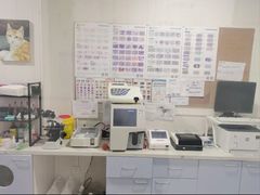 -守诺宠物医院·眼科· 特色牙科·异宠专科(虹口店)