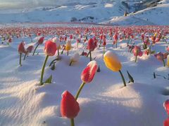 -肯德基(津滨店)