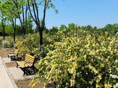 -永定河休闲森林公园