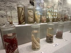 -北京中医药大学-中医药博物馆