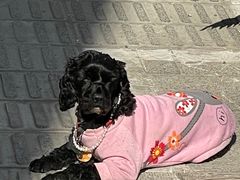 -盛兴面馆(真儒大厦店)