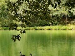 -广州白江湖森林公园