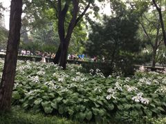 -玲珑塔公园