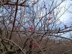 -白塘生态植物园