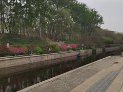 -元大都城垣遗址公园