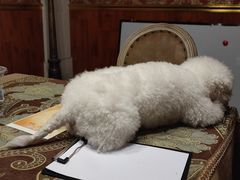 -伽利略剧本探案馆(国贸店)