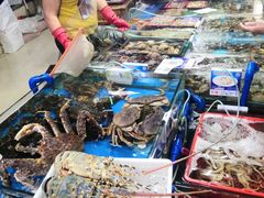 水产区-三亚新鸿港水果一级批发市场
