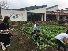 -田园东方蜜桃村的田野营地