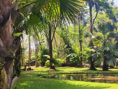 -中国科学院西双版纳热带植物园