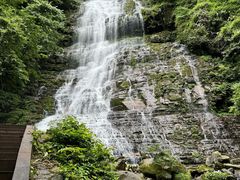 -瓦屋山景区