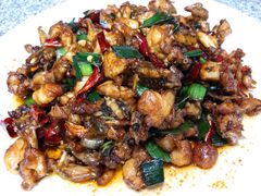 -阿清嫂农家乐.黎窑烤鸡